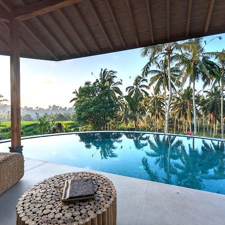 Puri Dajuma Terrace Eco Lodge & Spa Selemadeg  Exterior photo