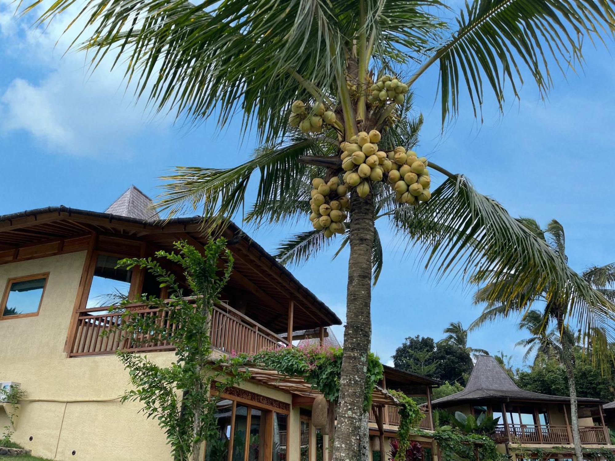 Puri Dajuma Terrace Eco Lodge & Spa Selemadeg  Exterior photo
