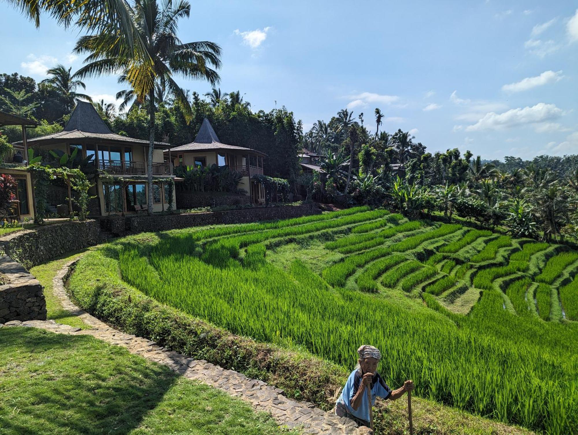 Puri Dajuma Terrace Eco Lodge & Spa Selemadeg  Exterior photo