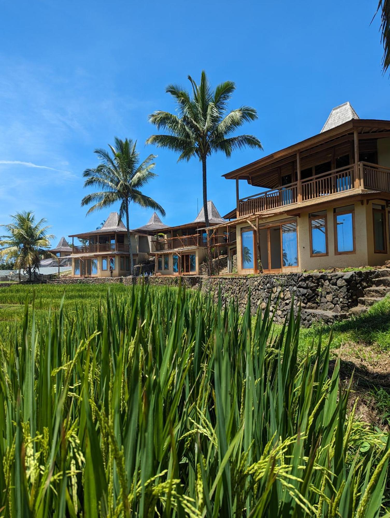 Puri Dajuma Terrace Eco Lodge & Spa Selemadeg  Exterior photo