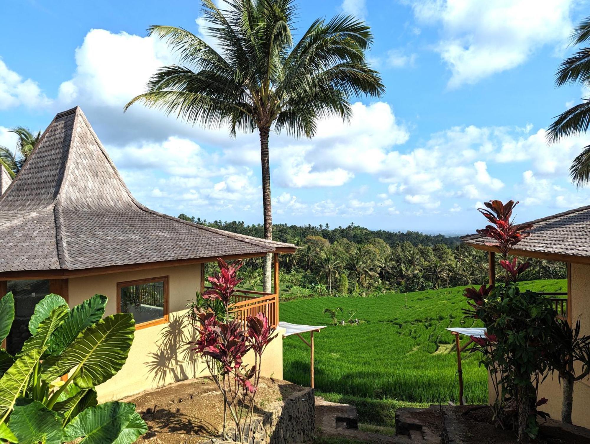 Puri Dajuma Terrace Eco Lodge & Spa Selemadeg  Exterior photo