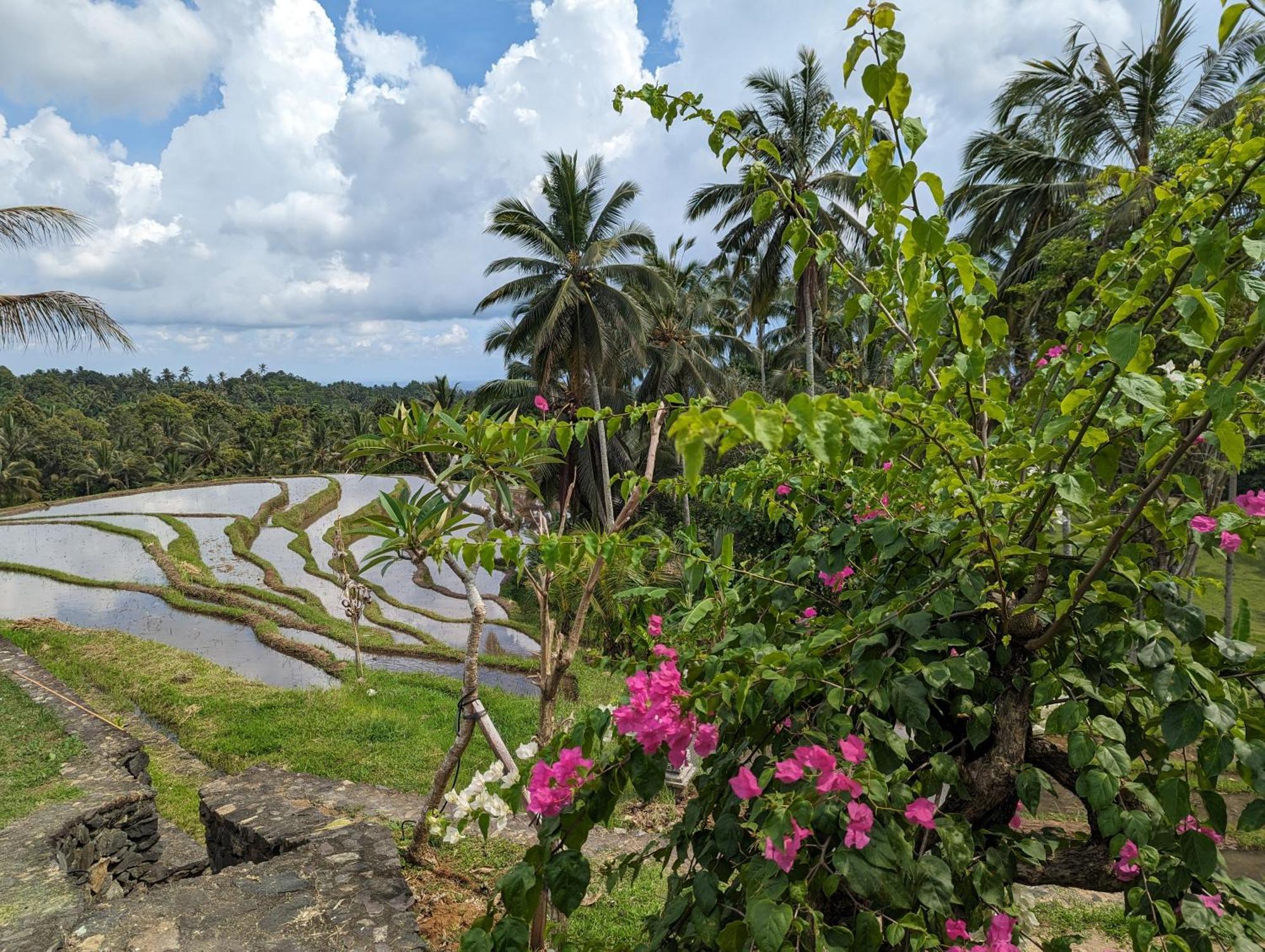 Puri Dajuma Terrace Eco Lodge & Spa Selemadeg  Exterior photo