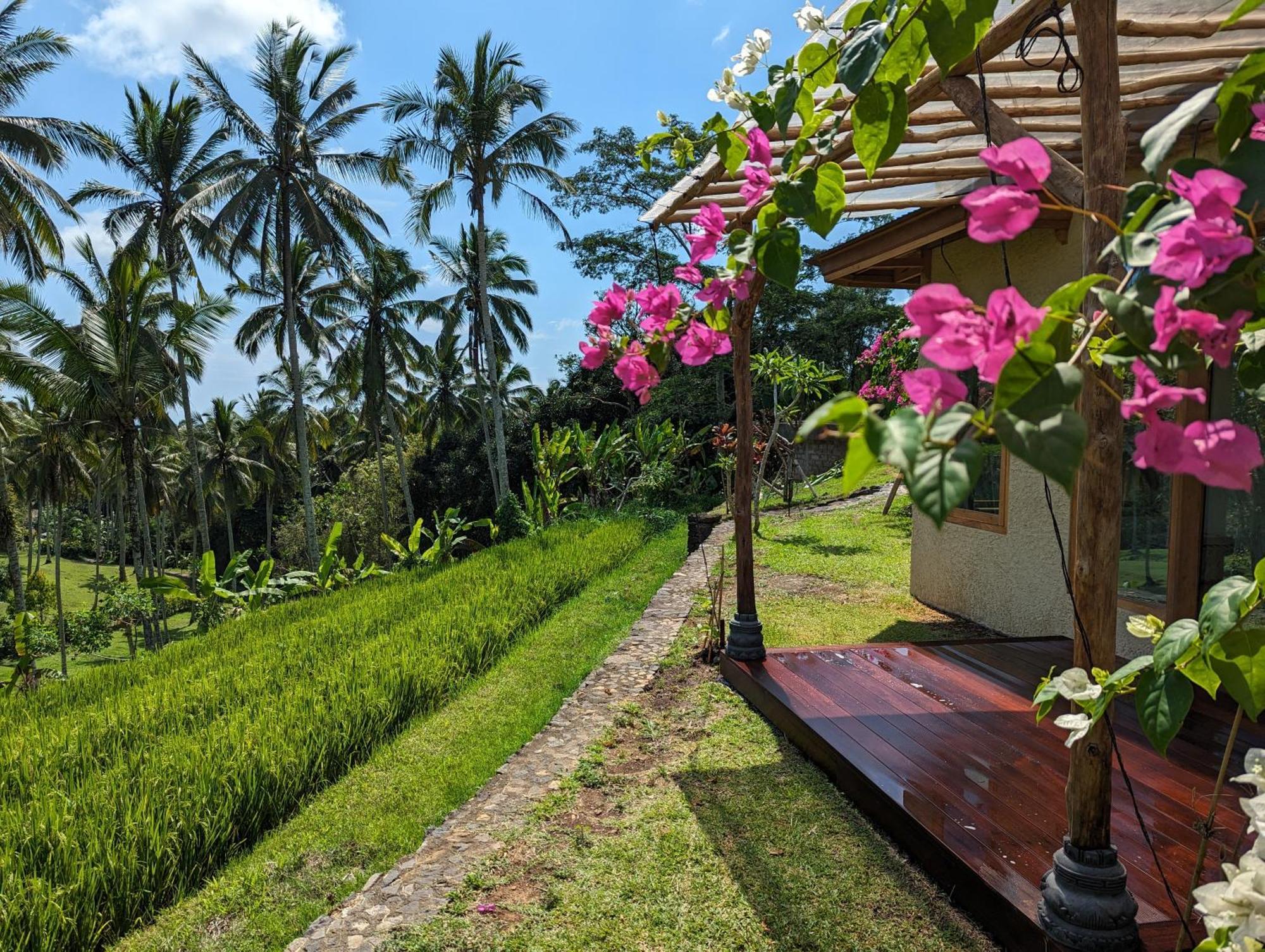 Puri Dajuma Terrace Eco Lodge & Spa Selemadeg  Exterior photo
